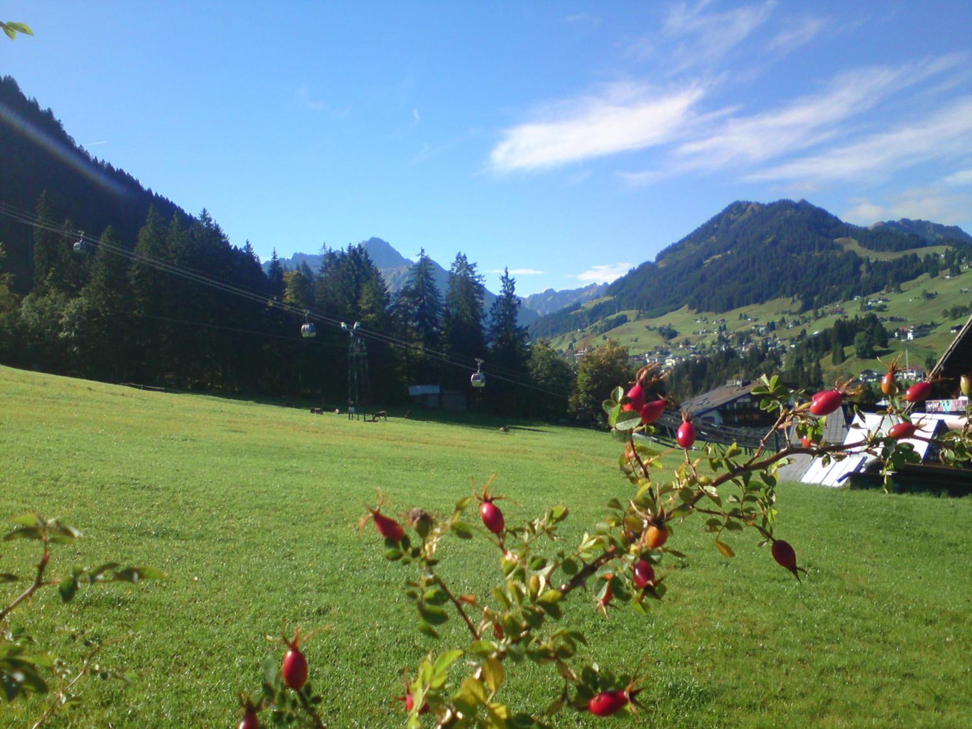 Villa Schusterhof Mittelberg Exterior foto